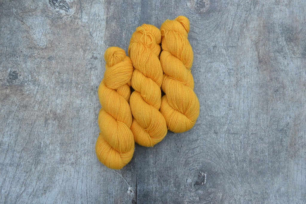 Oren Golau - Mandarin