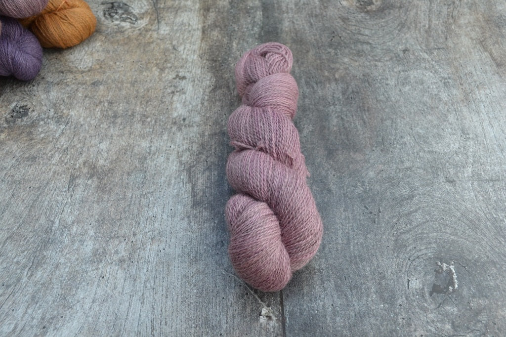 Periwinkle
