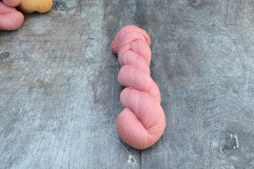 Carnation Pink