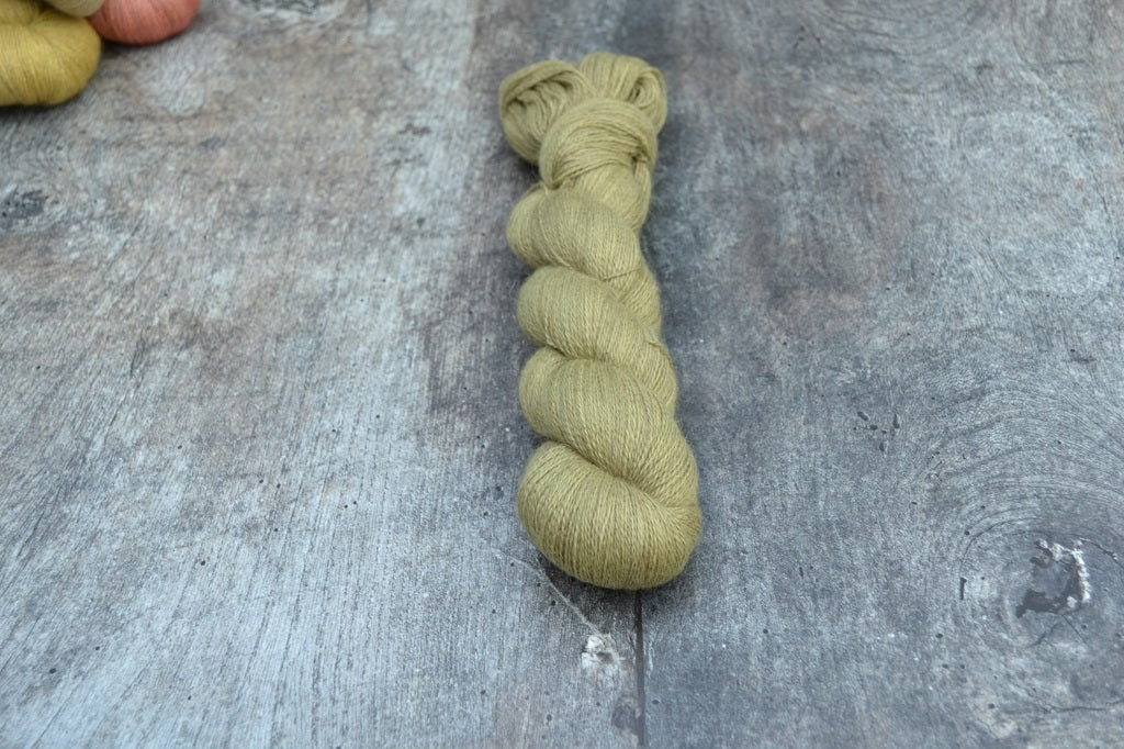 Fern