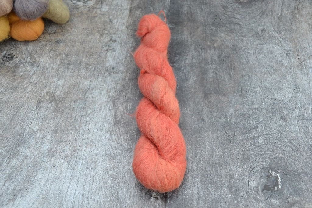 Tomato
