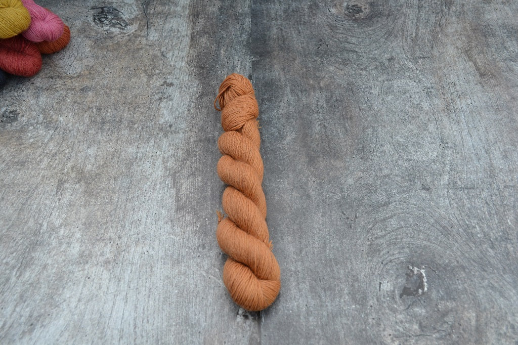 Ginger