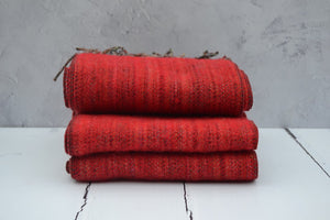 Poppy Red 1