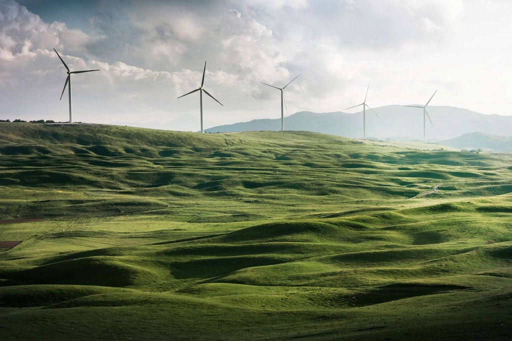 Sustainability is at the very core of what we do. A net zero website, carbon neutral shipping and plastic free products and packaging