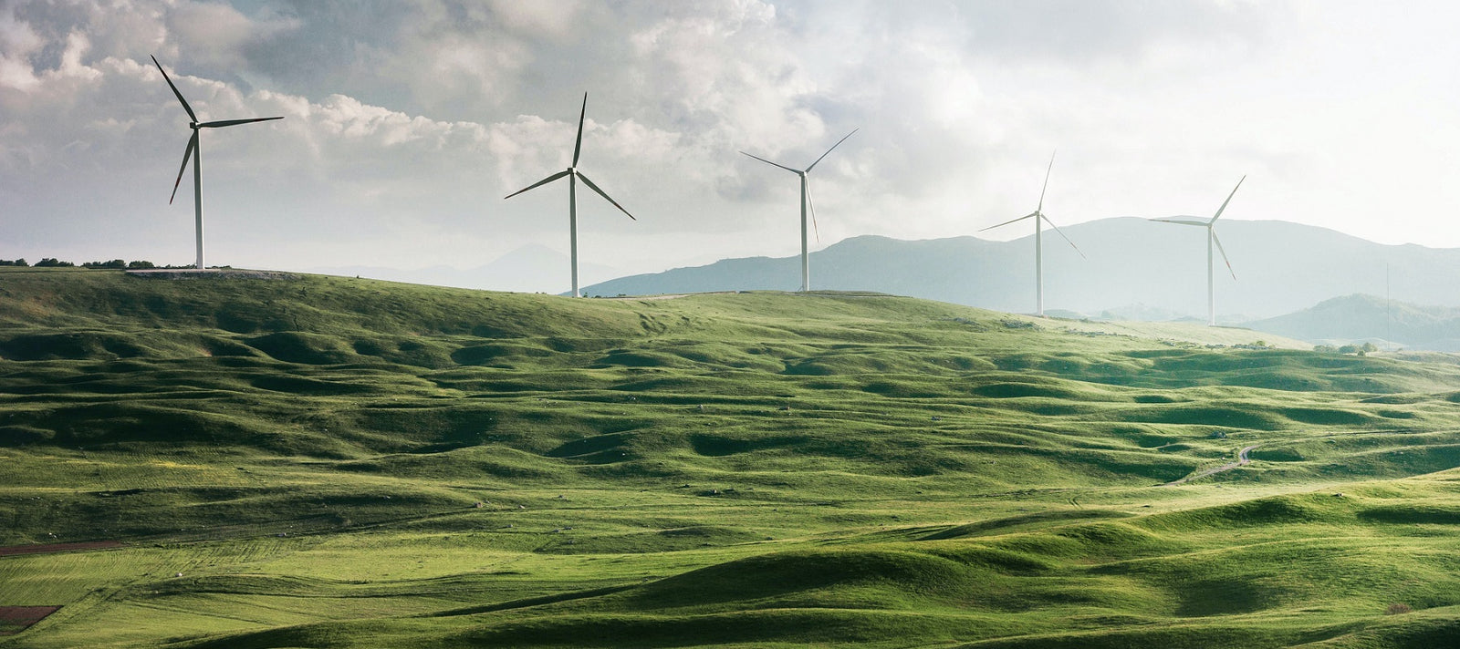 Sustainability is at the core of what we do. A net zero website, carbon neutral shipping and plastic free products and packaging