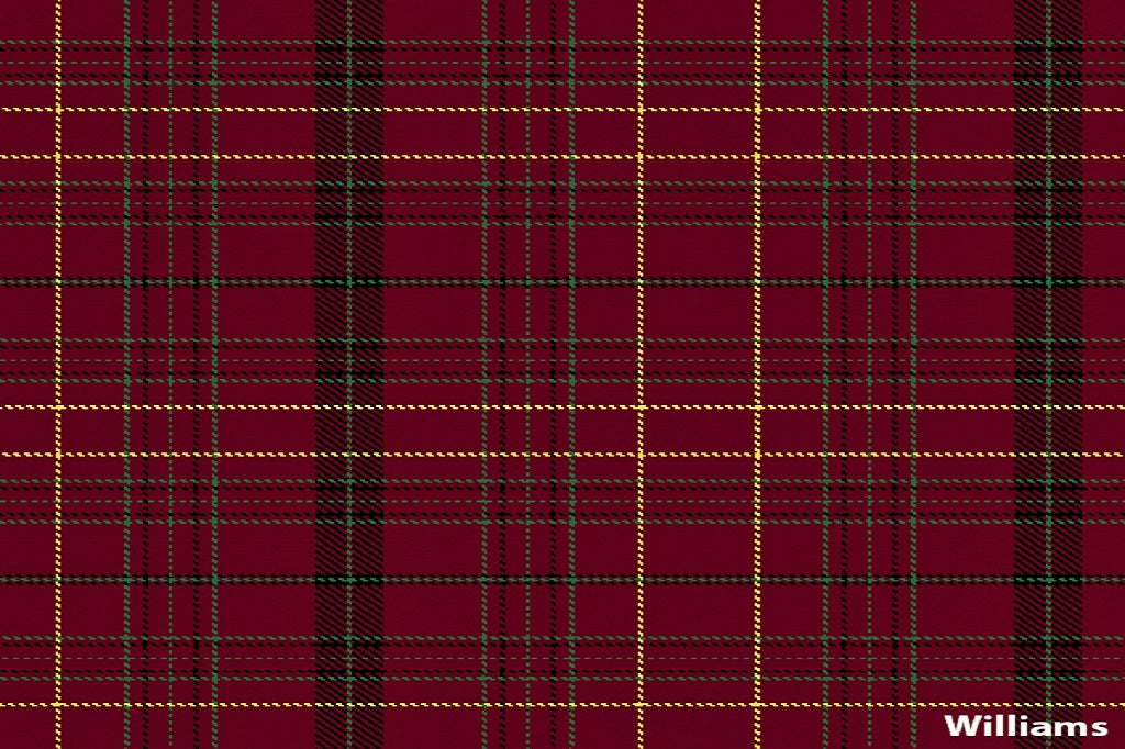 tartan scarf - williams