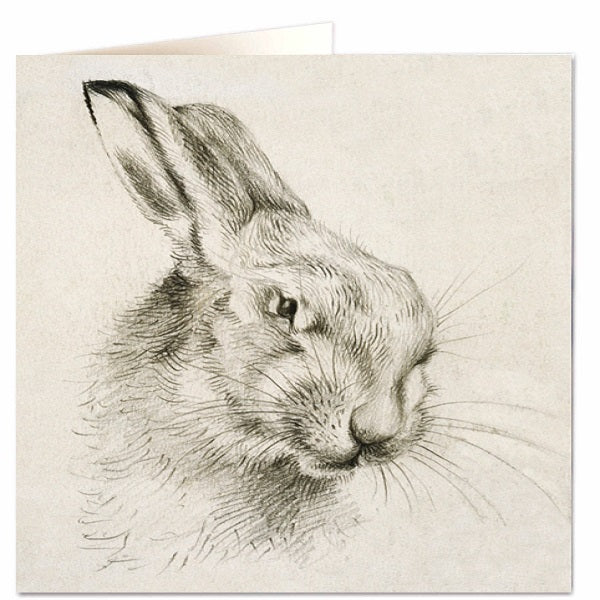 Archivist luxury greeting cards - hare